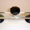 Windshield Repair Crack Expander
